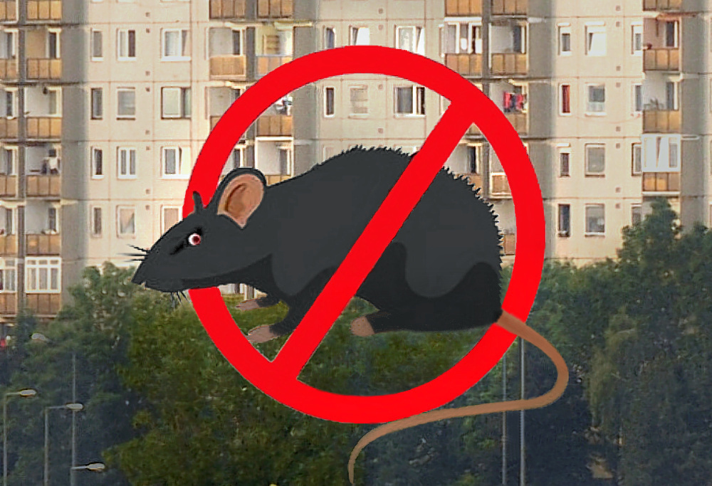 Ragcsalok