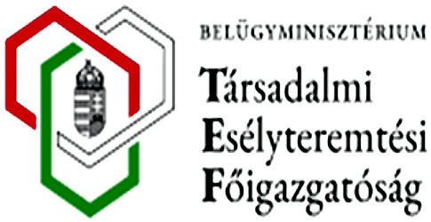 Bm Tef Logo