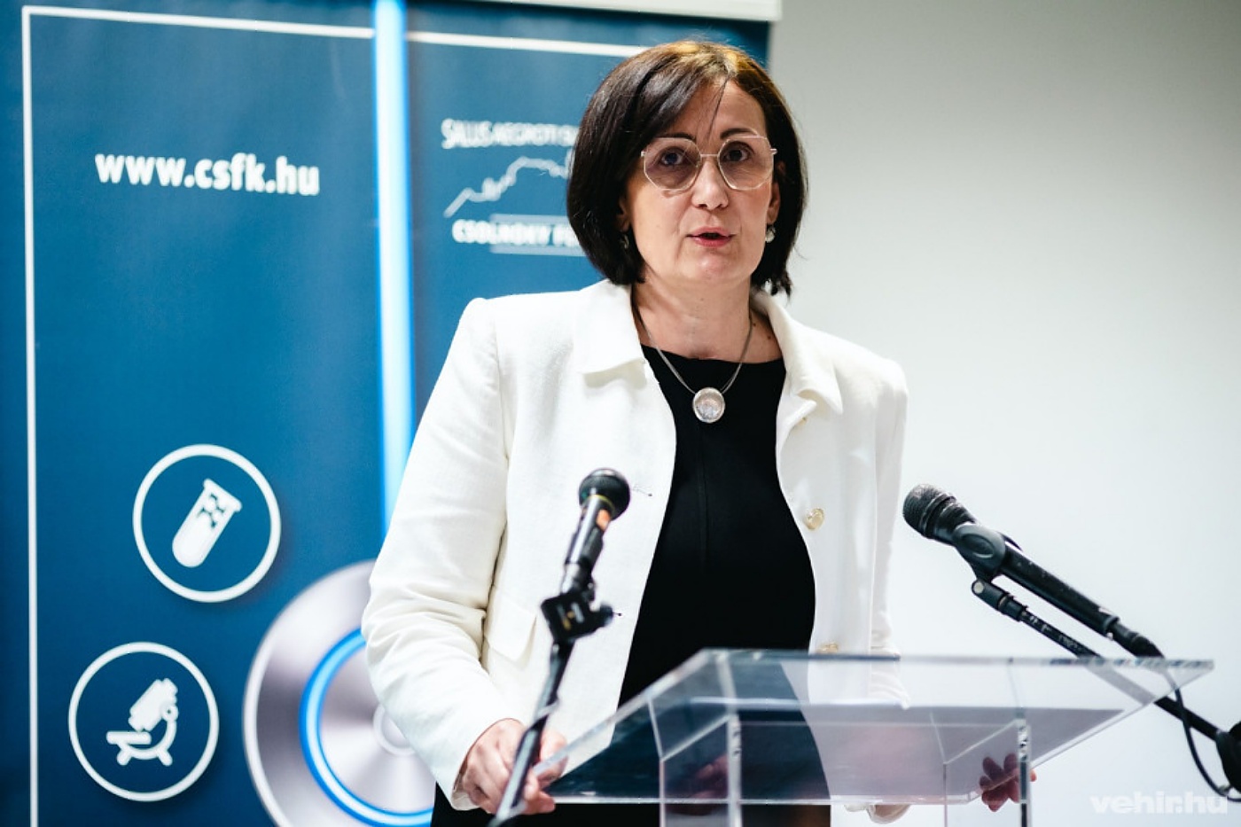 Szondi Zita országos kórházi főigazgató-helyettes beszél Semmelweis felismeréséről.