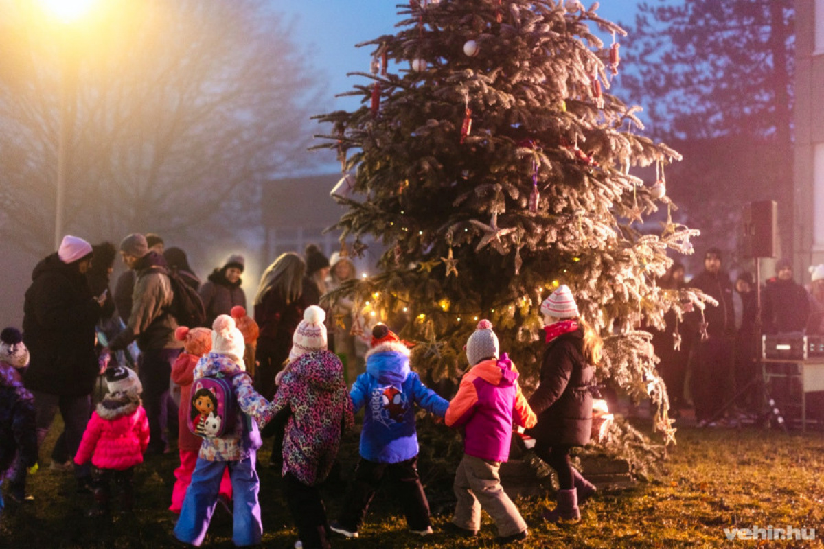 Karácsonyfa a Cholnoky-lakótelepen