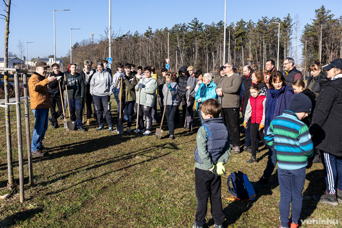 Zöldítés Miyawaki erdővel