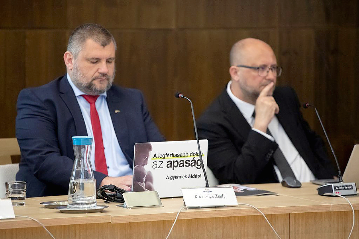 Kovacsics Zsolt